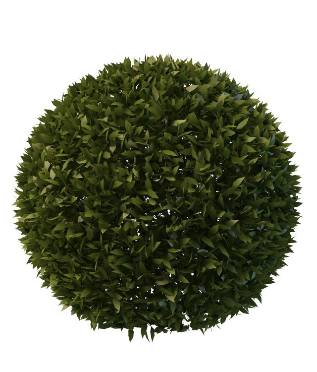 Topiary ball 3d rendering