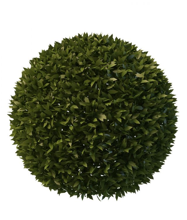 Topiary ball 3d rendering