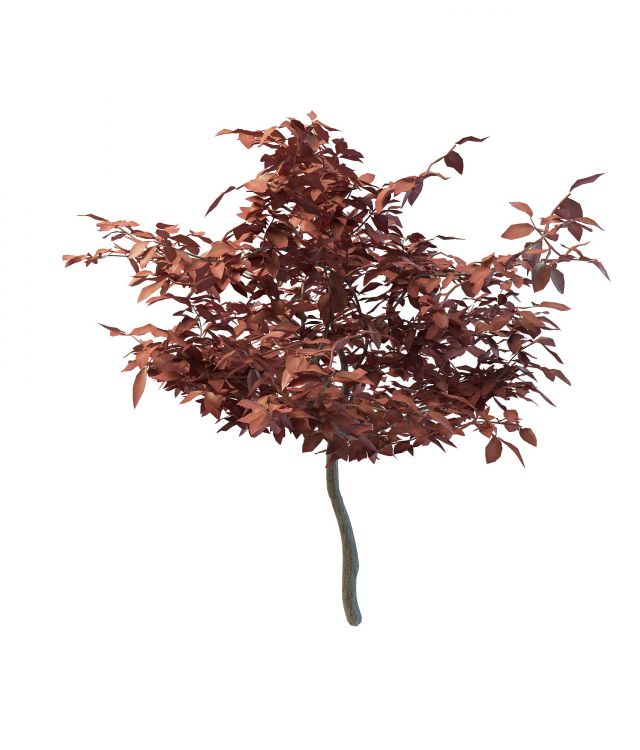 Red autumn fall tree 3d rendering