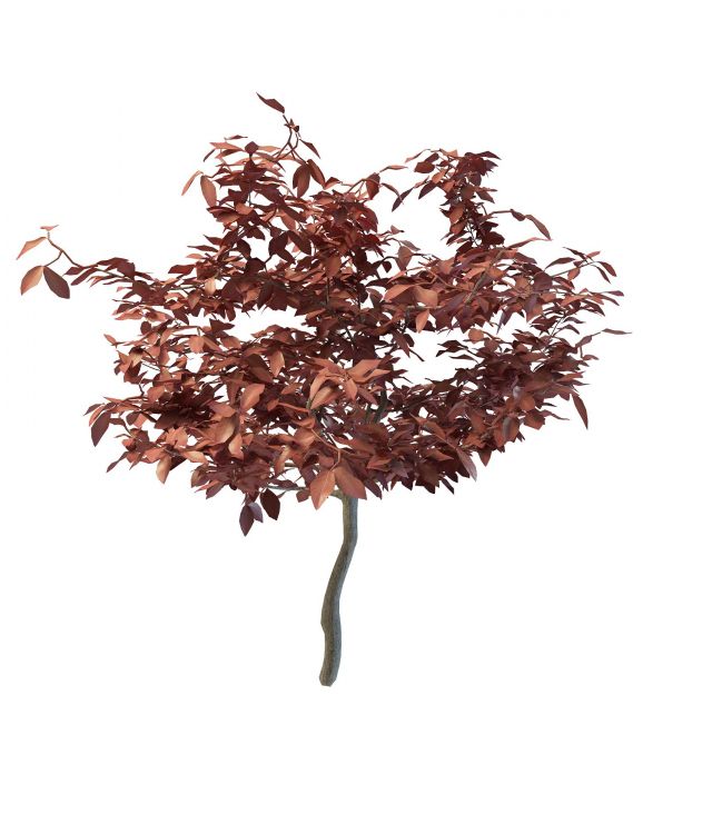 Red autumn fall tree 3d rendering