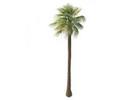 Tall Mexican fan palm tree 3d model preview