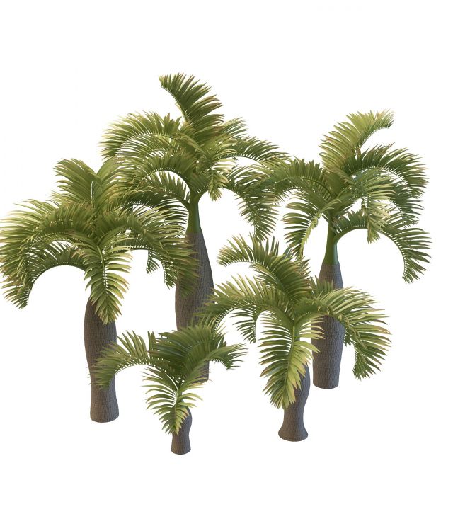Palmyra palm trees 3d model 3ds max files free download - CadNav