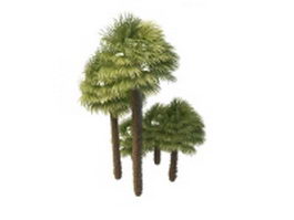 Windmill palms 3d model preview