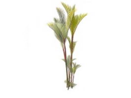 Red palm 3d model preview