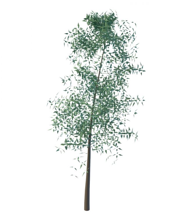 Small tree 3d rendering