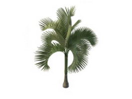 Cuban royal palm tree 3d model preview