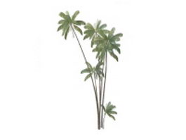 Walsh river palm trees 3d model preview
