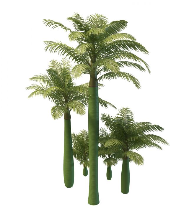 King Alexander palm trees 3d rendering