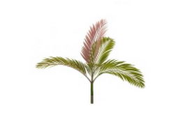 Red leaf palm 3d model preview