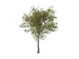 Rowan tree 3d model preview