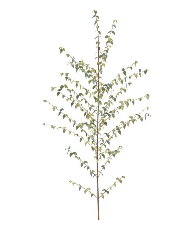 Small spring tree 3d rendering