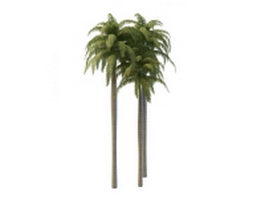 Florida royal palms 3d model preview