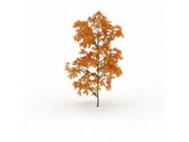 Gold autumn maple tree 3d model preview