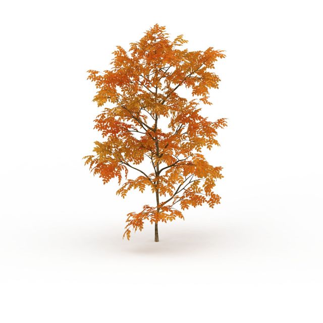 Gold autumn maple tree 3d rendering