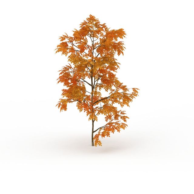 Gold autumn maple tree 3d rendering