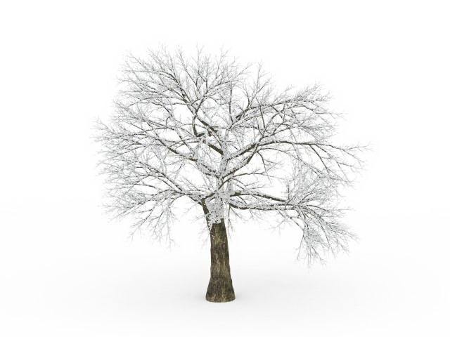 Snow tree 3d rendering