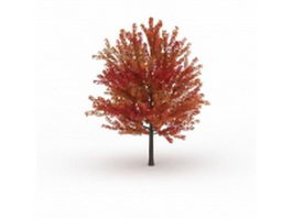 Autumn maple tree 3d model preview