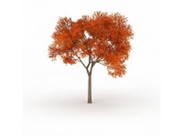 Autumn blaze maple tree 3d model preview