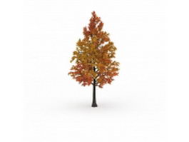 Fall maple tree 3d model preview