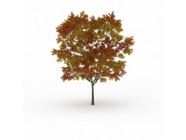 Fall tree with leaves 3d model preview