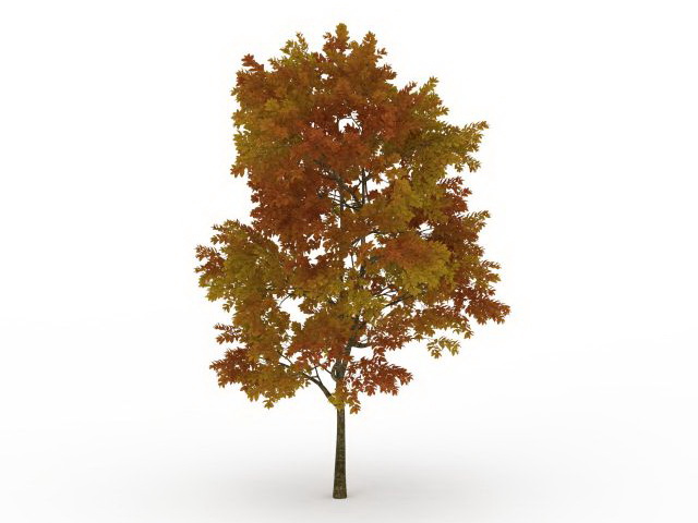 Fall tree with leaves 3d rendering