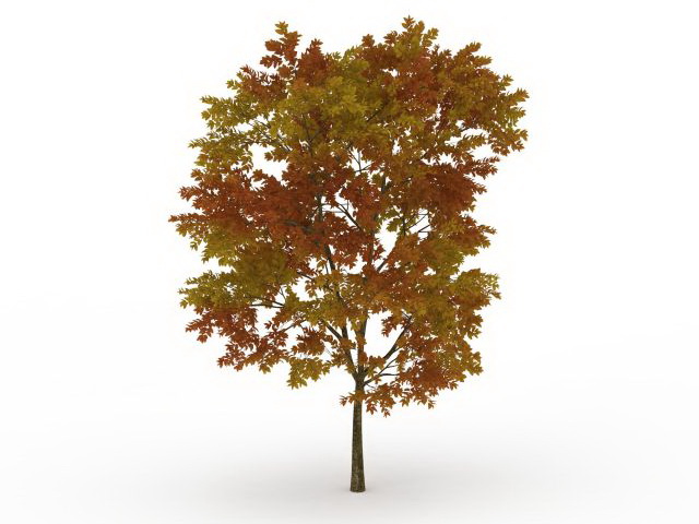 Fall tree with leaves 3d rendering