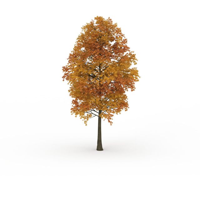 Orange sugar maple tree 3d rendering