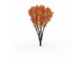 Autumn tree 3d model preview