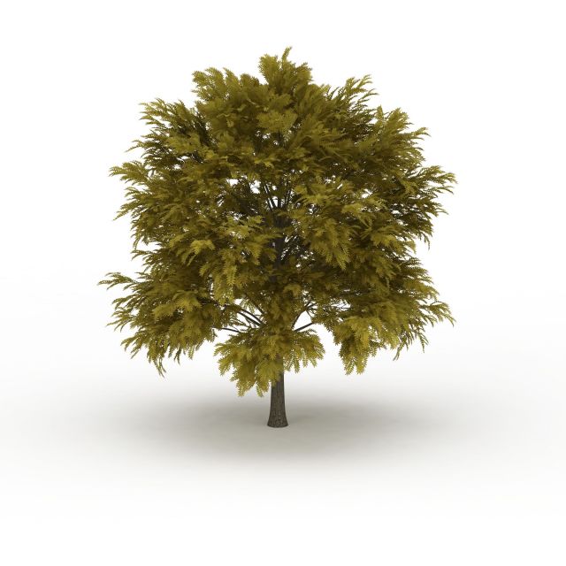 Oak tree in summer 3d rendering