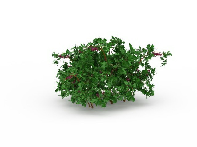 Flowering herbs for garden 3d rendering