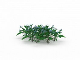 Blue flower shrubs 3d model preview