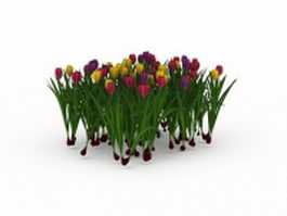 Tulip plant with flower 3d model preview