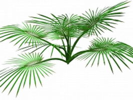 Palm plant 3d model preview