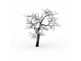 The old tree in winter 3d model preview