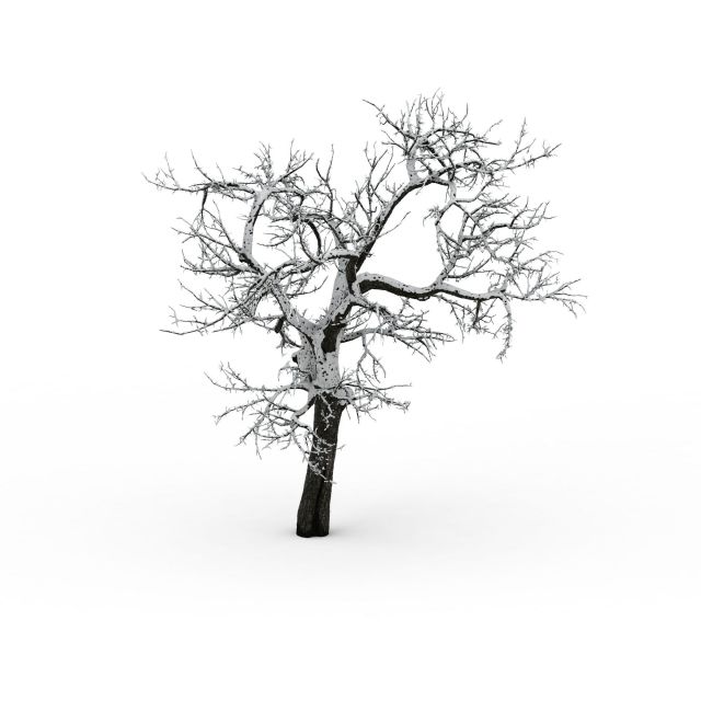 The old tree in winter 3d rendering