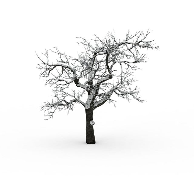 The old tree in winter 3d rendering