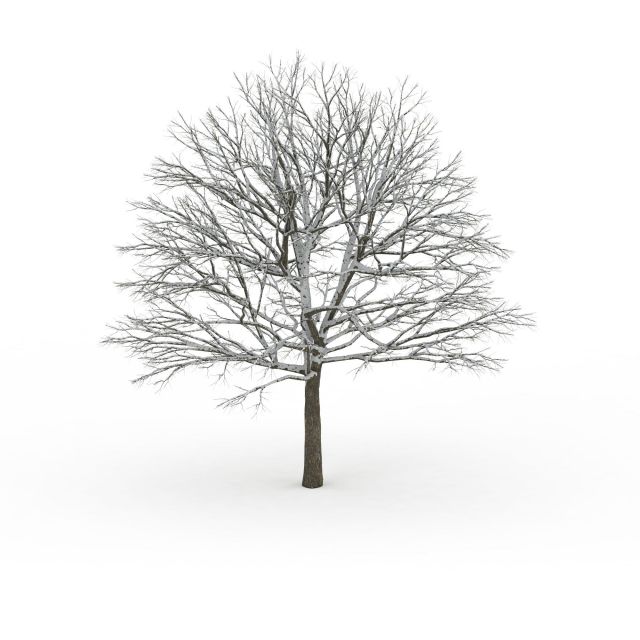 Winter tree 3d rendering