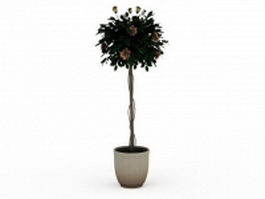 Potted tall tree 3d model preview