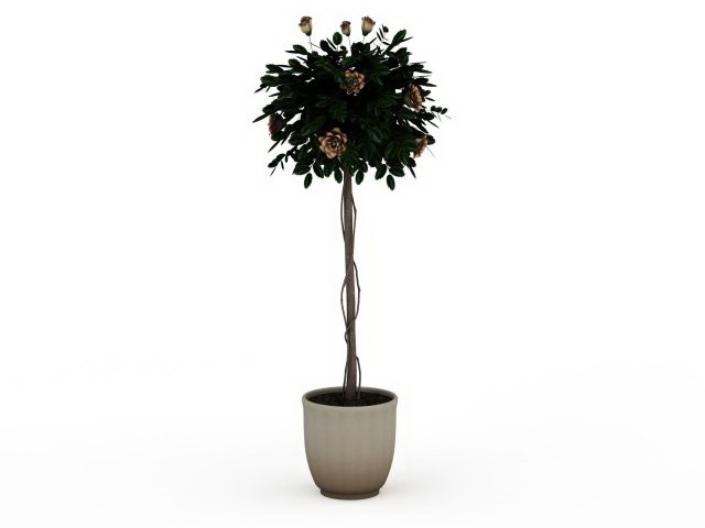 Potted tall tree 3d rendering