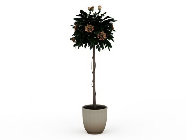 Potted tall tree 3d rendering