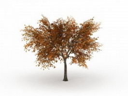 Autumn linden tree 3d model preview
