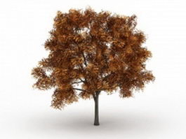 Ash fraxinus tree in fall color 3d model preview