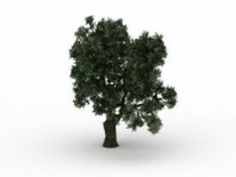 Brittle willow tree 3d model preview