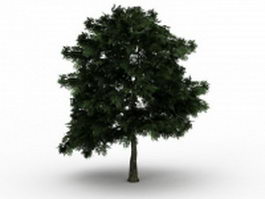 White oak tree 3d model preview