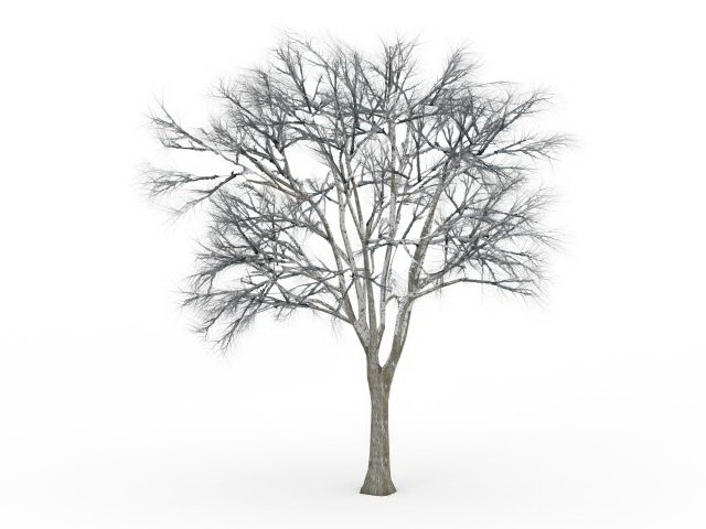 Snow ginkgo tree 3d rendering