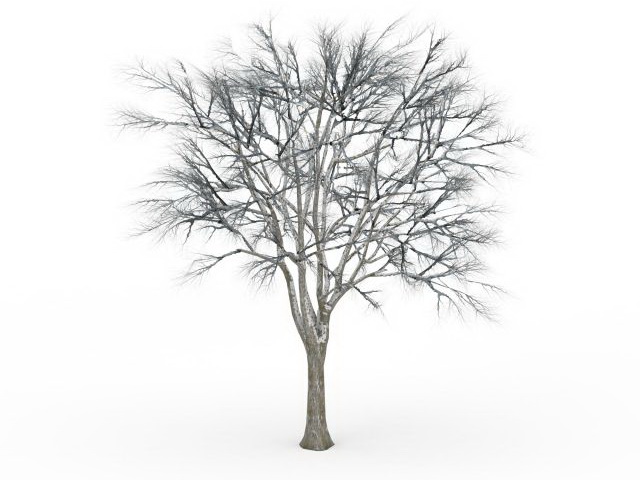 Snow ginkgo tree 3d rendering