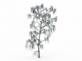 Snow covered birch tree 3d model preview