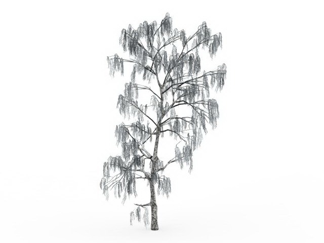 Snow covered birch tree 3d rendering