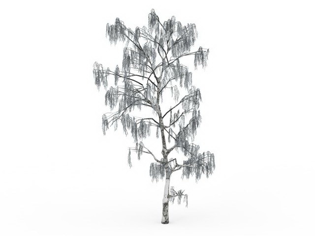 Snow covered birch tree 3d rendering