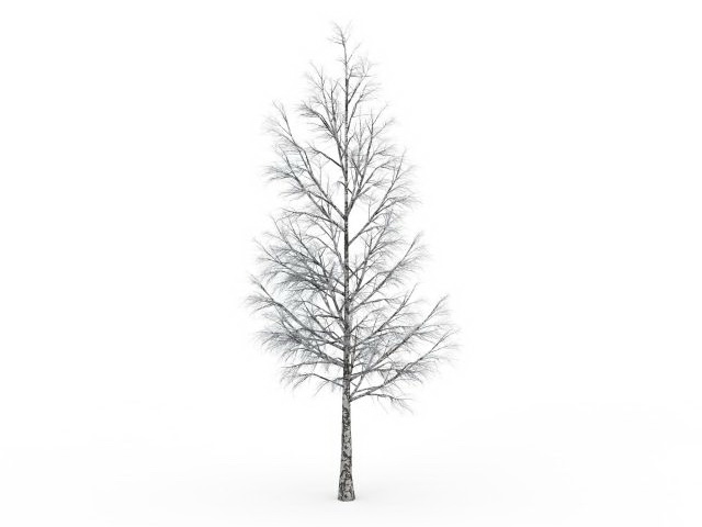 Winter birch tree 3d rendering